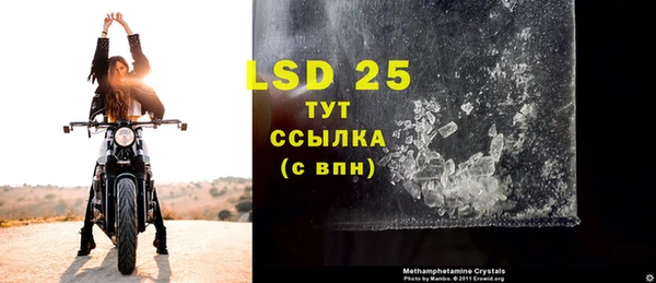 PSILOCYBIN Абаза