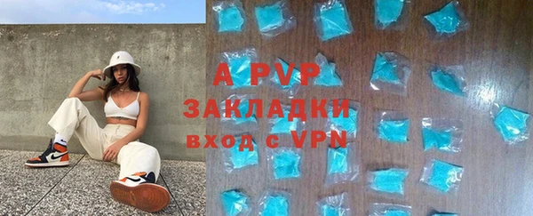 PSILOCYBIN Абаза