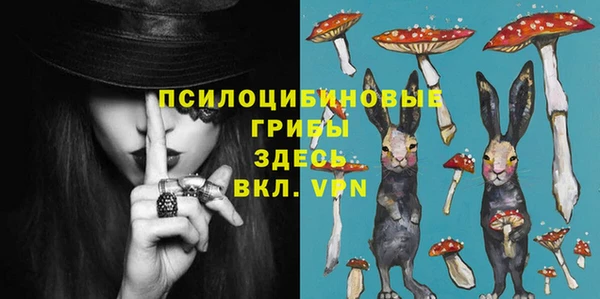 PSILOCYBIN Абаза